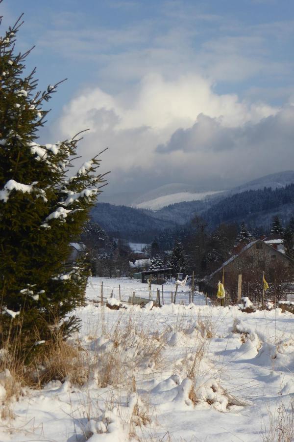 Z Prywatna Sauna- Na Szlaku Chalet Milówka